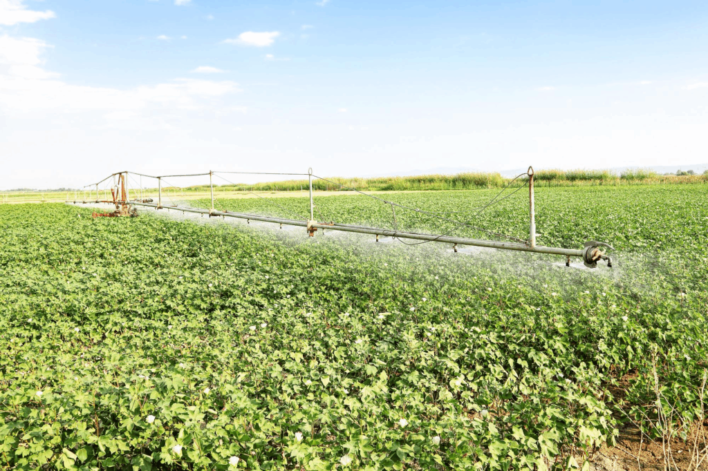 Descubra as Práticas Sustentáveis na Agricultura