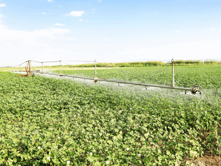 Descubra as Práticas Sustentáveis na Agricultura