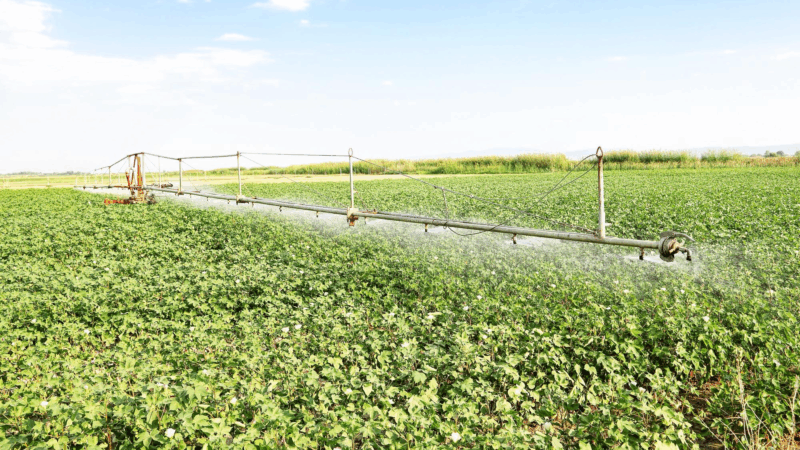 Descubra as Práticas Sustentáveis na Agricultura