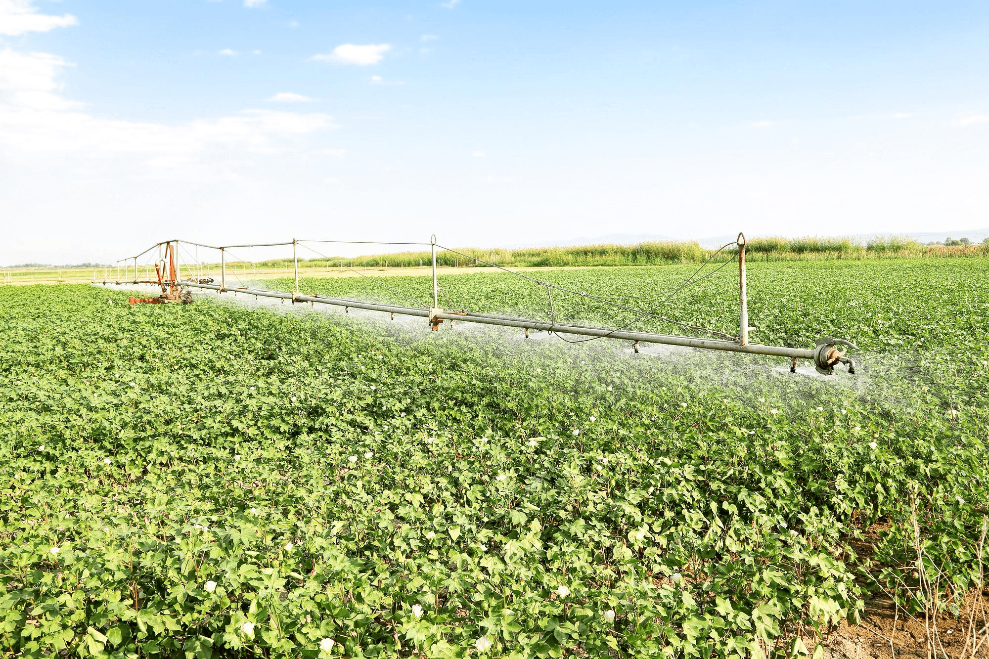 Descubra as Práticas Sustentáveis na Agricultura